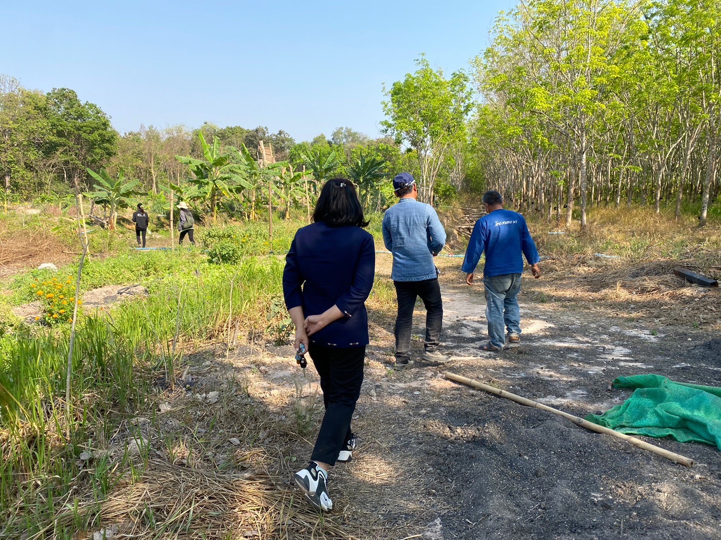 พช.นครพนม เยี่ยมชมความสำเร็จ “โคก หนอง นา ” และติดตามการดำเนินงานกลุ่มทอผ้าพื้นเมือง อำเภอเรณูนคร