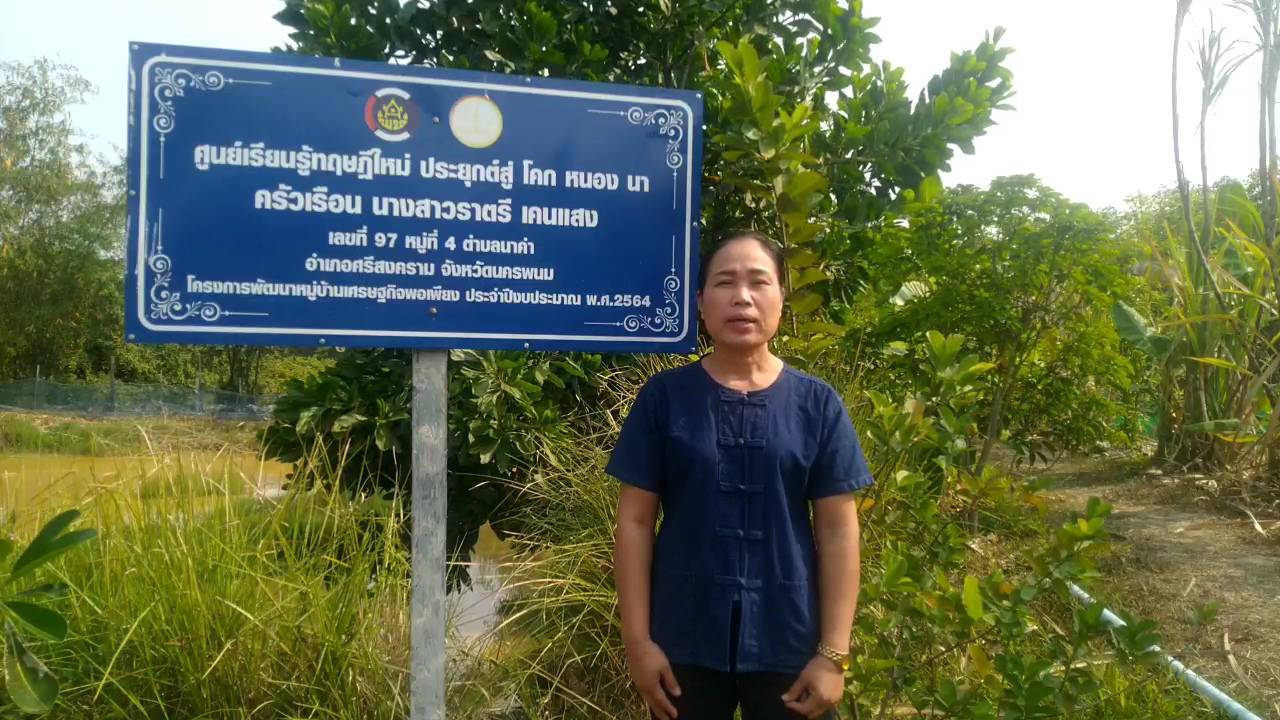 โครงการพัฒนาหมู่บ้านเศรษฐกิจพอเพียง ประจำปีงบประมาณ พ.ศ.2564 แปลงนางสาวราตรี เคนแสง