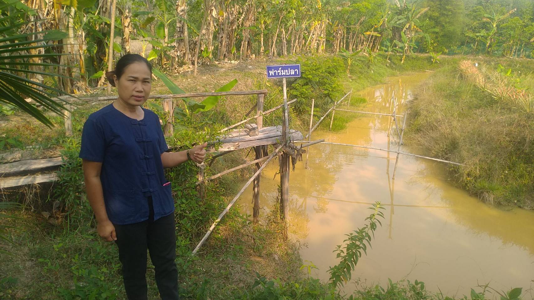 โครงการพัฒนาหมู่บ้านเศรษฐกิจพอเพียง ประจำปีงบประมาณ พ.ศ.2564 แปลงนางสาวราตรี เคนแสง