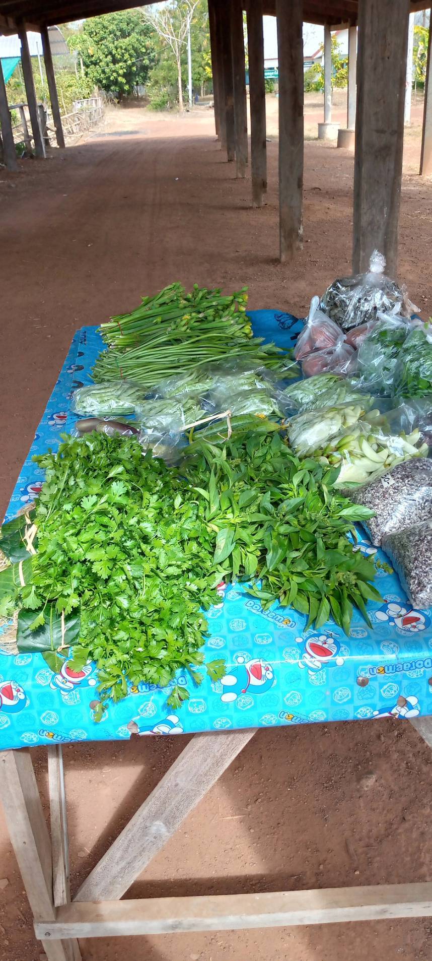 ครัวเรือนเป้าหมายโครงการพัฒนาหมู่บ้านเศรษฐกิจพอเพียง ครัวเรือนนางวิสุดา เหลาหนาด