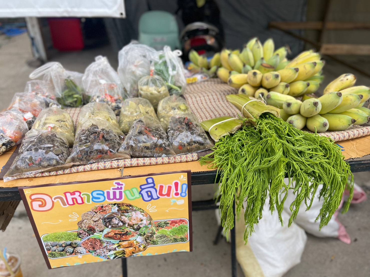 นครพนม จัดงานประเพณีสงกรานต์ และกิจกรรมส่งเสริมเทศกาลอาหารถิ่นไทนคร 9 ชนเผ่า 2 เชื้อชาติ ประจำปี 2566 “สนุกเต็มที่ และยังอิ่มบุญ อิ่มท้อง นครพนมบ้านเฮา”