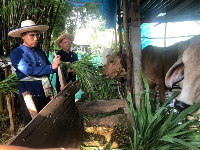 นครพนม จัดกิจกรรมรวมพลังทำความดี เฉลิมพระเกียรติ สมเด็จพระนางเจ้าสุทิดา พัชรสุธาพิมลลักษณ พระบรมราชินี เนื่องในโอกาสมหามงคลเฉลิมพระชนมพรรษา  3 มิถุนายน  2566