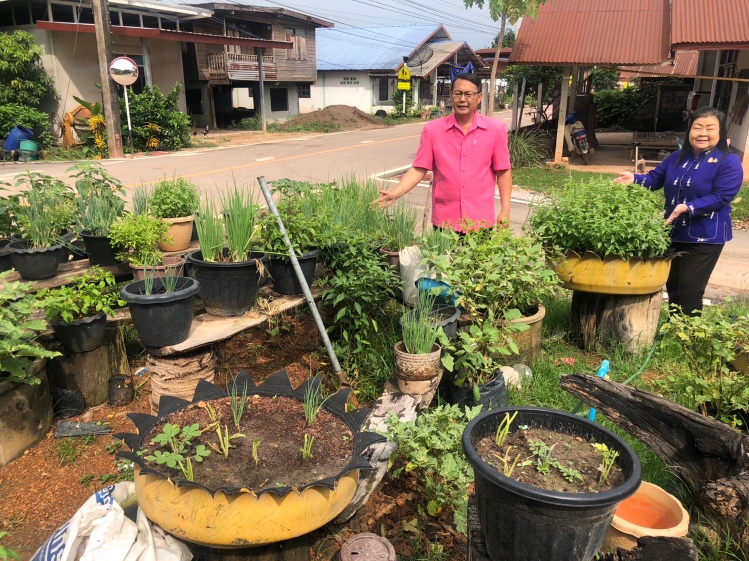 พช.นครพนม เยี่ยมชมผลผลิตแปลงผัก วัด ประชา รัฐ สร้างสุข อำเภอนาทม จังหวัดนครพนม