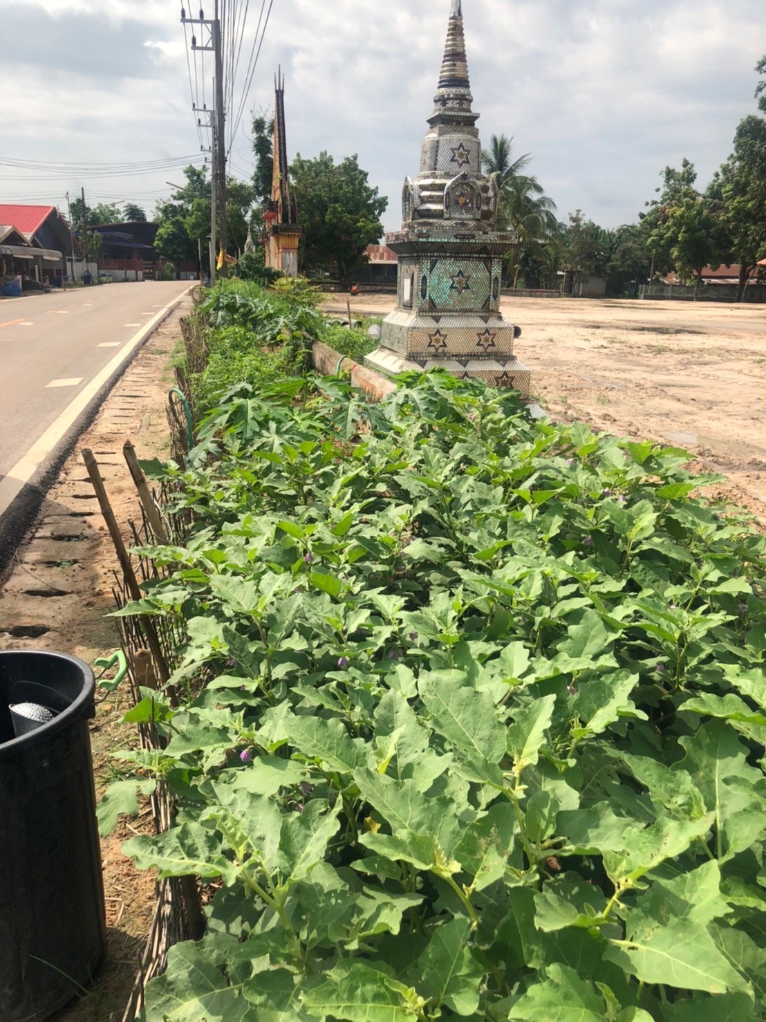 พช.นครพนม เยี่ยมชมผลผลิตแปลงผัก วัด ประชา รัฐ สร้างสุข อำเภอนาทม จังหวัดนครพนม