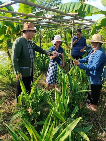 พช.นครพนม  เยี่ยมชมความสำเร็จแปลง”โคก หนอง นา” พื้นที่อำเภอโพนสวรรค์
