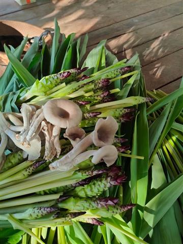 พช.นครพนม  เยี่ยมชมความสำเร็จแปลง”โคก หนอง นา” พื้นที่อำเภอโพนสวรรค์