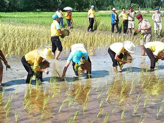 จังหวัดนครพนม พร้อมใจกันจัดกิจกรรมเฉลิมพระเกียรติพระบาทสมเด็จพระปรเมนทรรามาธิบดีศรีสินทร มหาวชิราลงกรณ พระวชิรเกล้าเจ้าอยู่หัว เนื่องในโอกาสวันเฉลิมพระชนมพรรษา 28 กรกฎาคม 2566  “จิตอาสาพัฒนาชุมชน เอามื้อสามัคคี ทำความดีถวายในหลวง”