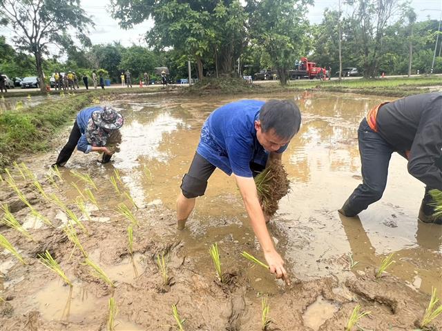 ผู้ว่าฯ ลงแขก “ดำนา” อนุรักษ์ประเพณี แบบวิถีชีวิตพื้นบ้าน สืบสานวัฒนธรรมไทย ช่วยเหลือครัวเรือนผู้ยากไร้ พื้นที่ตำบลมหาชัย อำเภอปลาปาก จังหวัดนครพนม