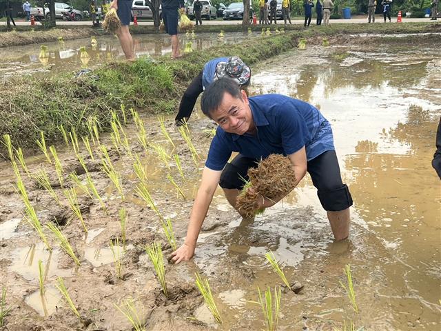 ผู้ว่าฯ ลงแขก “ดำนา” อนุรักษ์ประเพณี แบบวิถีชีวิตพื้นบ้าน สืบสานวัฒนธรรมไทย ช่วยเหลือครัวเรือนผู้ยากไร้ พื้นที่ตำบลมหาชัย อำเภอปลาปาก จังหวัดนครพนม