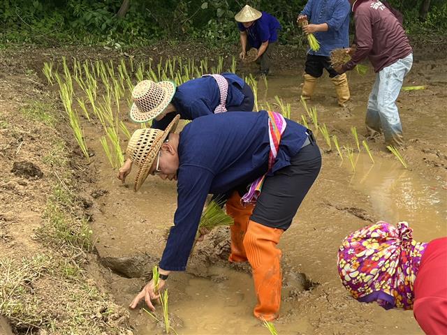 ผู้ว่าฯ ลงแขก “ดำนา” อนุรักษ์ประเพณี แบบวิถีชีวิตพื้นบ้าน สืบสานวัฒนธรรมไทย ช่วยเหลือครัวเรือนผู้ยากไร้ พื้นที่ตำบลมหาชัย อำเภอปลาปาก จังหวัดนครพนม