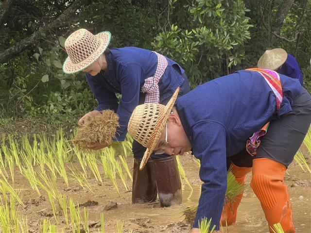 ผู้ว่าฯ ลงแขก “ดำนา” อนุรักษ์ประเพณี แบบวิถีชีวิตพื้นบ้าน สืบสานวัฒนธรรมไทย ช่วยเหลือครัวเรือนผู้ยากไร้ พื้นที่ตำบลมหาชัย อำเภอปลาปาก จังหวัดนครพนม