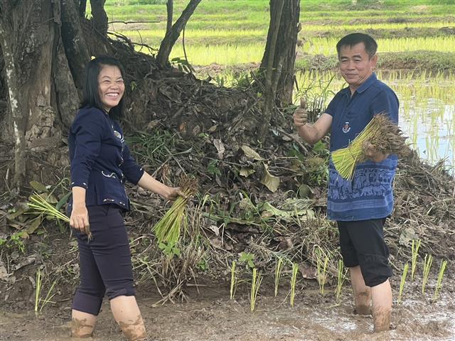 ผู้ว่าฯ ลงแขก “ดำนา” อนุรักษ์ประเพณี แบบวิถีชีวิตพื้นบ้าน สืบสานวัฒนธรรมไทย ช่วยเหลือครัวเรือนผู้ยากไร้ พื้นที่ตำบลมหาชัย อำเภอปลาปาก จังหวัดนครพนม