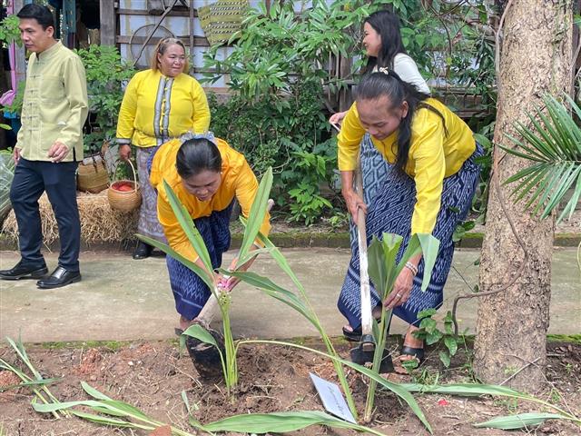 จังหวัดนครพนม จัดกิจกรรมพิธีทอดผ้าป่าสมทบกองทุนเมล็ดพันธุ์ ศูนย์โฮมฮัก ปลูกผักปันแนวดี วิถีนครพนม ประจำปี 2566