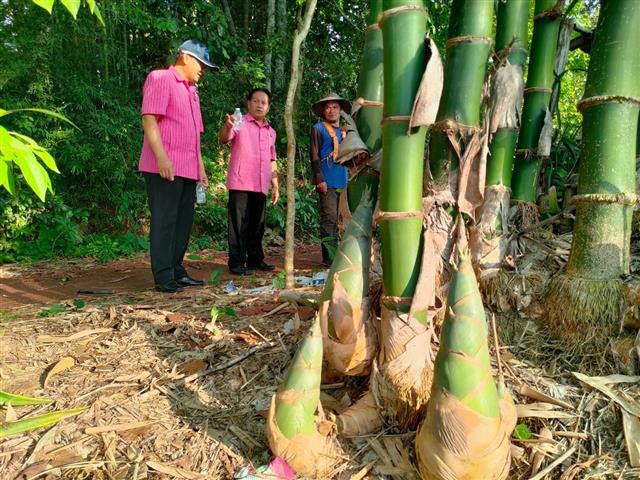 พช.นครพนม   เยี่ยมชมความสำเร็จ ศูนย์เรียนรู้ฯ “โคก หนอง นา” พื้นที่ศรีสงคราม