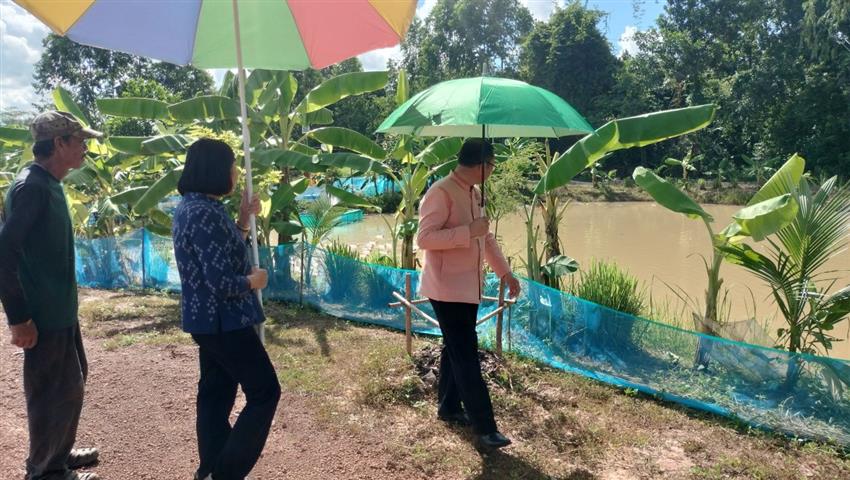 พช.นครพนม  เยี่ยมชมความสำเร็จแปลง”โคก หนอง นา” พื้นที่อำเภอเมืองนครพนม