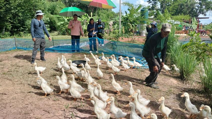 พช.นครพนม  เยี่ยมชมความสำเร็จแปลง”โคก หนอง นา” พื้นที่อำเภอเมืองนครพนม