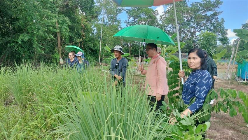 พช.นครพนม  เยี่ยมชมความสำเร็จแปลง”โคก หนอง นา” พื้นที่อำเภอเมืองนครพนม