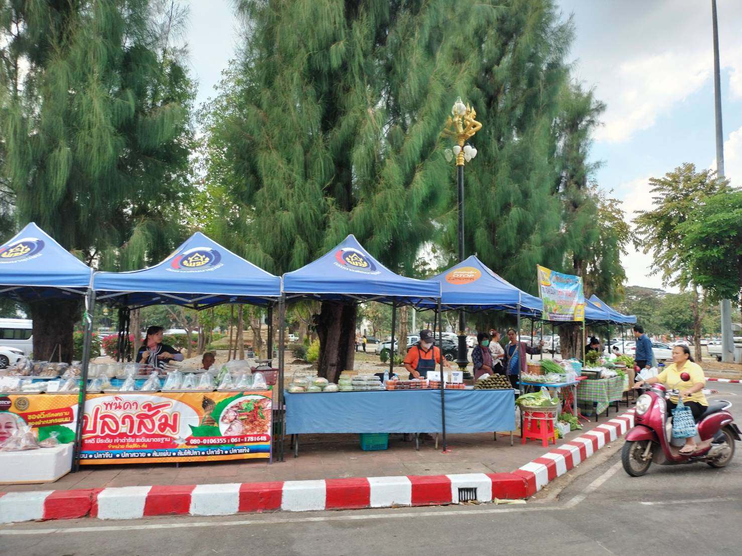 นครพนม   จัดแสดงและจำหน่ายผลผลิต โคก หนอง นา “ตลาดนัดโคก หนอง นา และอาหารปลอดภัย” สู่ความยั่งยืน