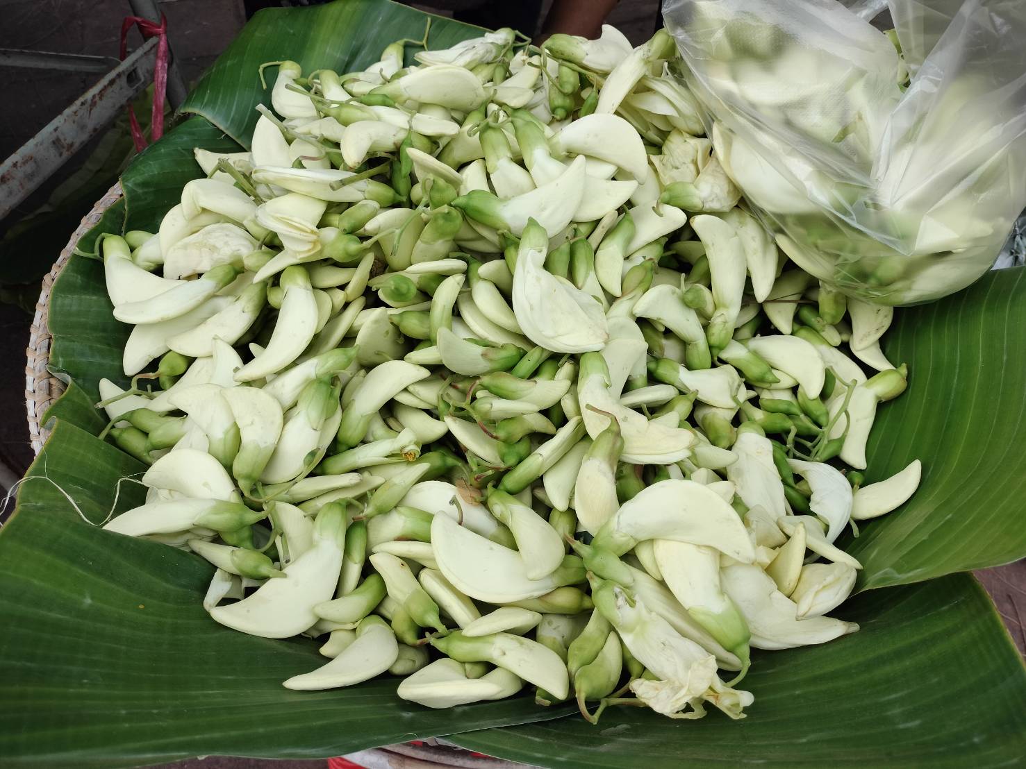 นครพนม   จัดแสดงและจำหน่ายผลผลิต โคก หนอง นา “ตลาดนัดโคก หนอง นา และอาหารปลอดภัย” สู่ความยั่งยืน