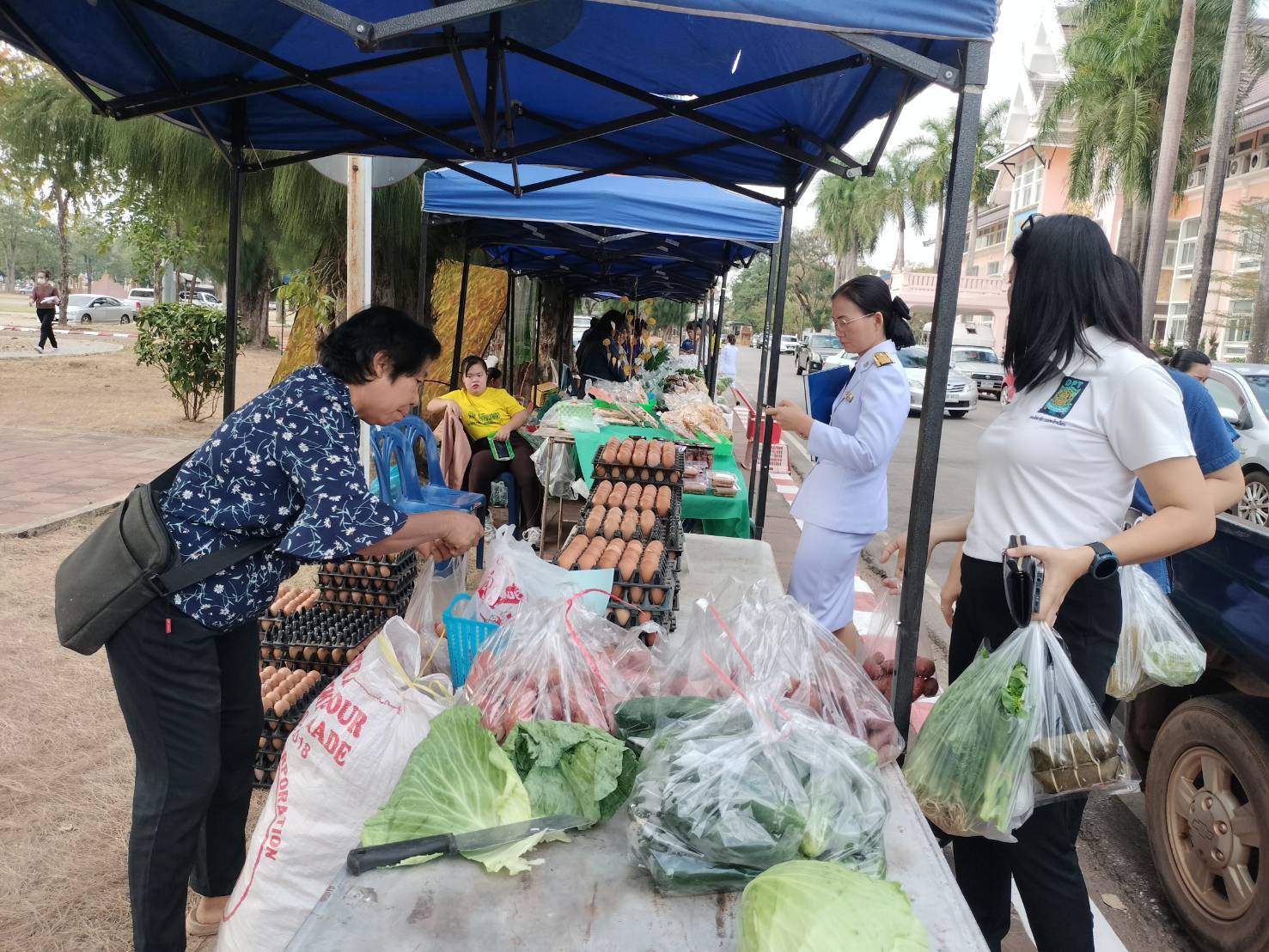 นครพนม   จัดแสดงและจำหน่ายผลผลิต โคก หนอง นา “ตลาดนัดโคก หนอง นา และอาหารปลอดภัย” สู่ความยั่งยืน