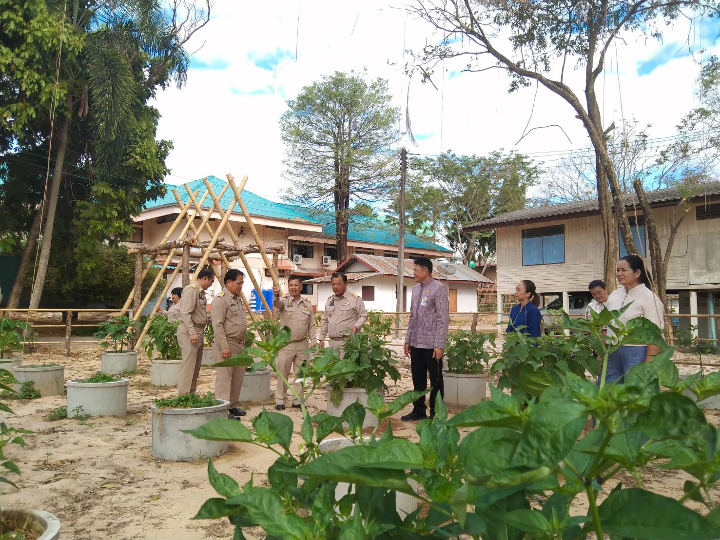 ผู้ตรวจราชการกรมฯ   เขตที่11  ลงพื้นที่เยี่ยมชมผลสำเร็จการสร้างความมั่นคงทางอาหาร
