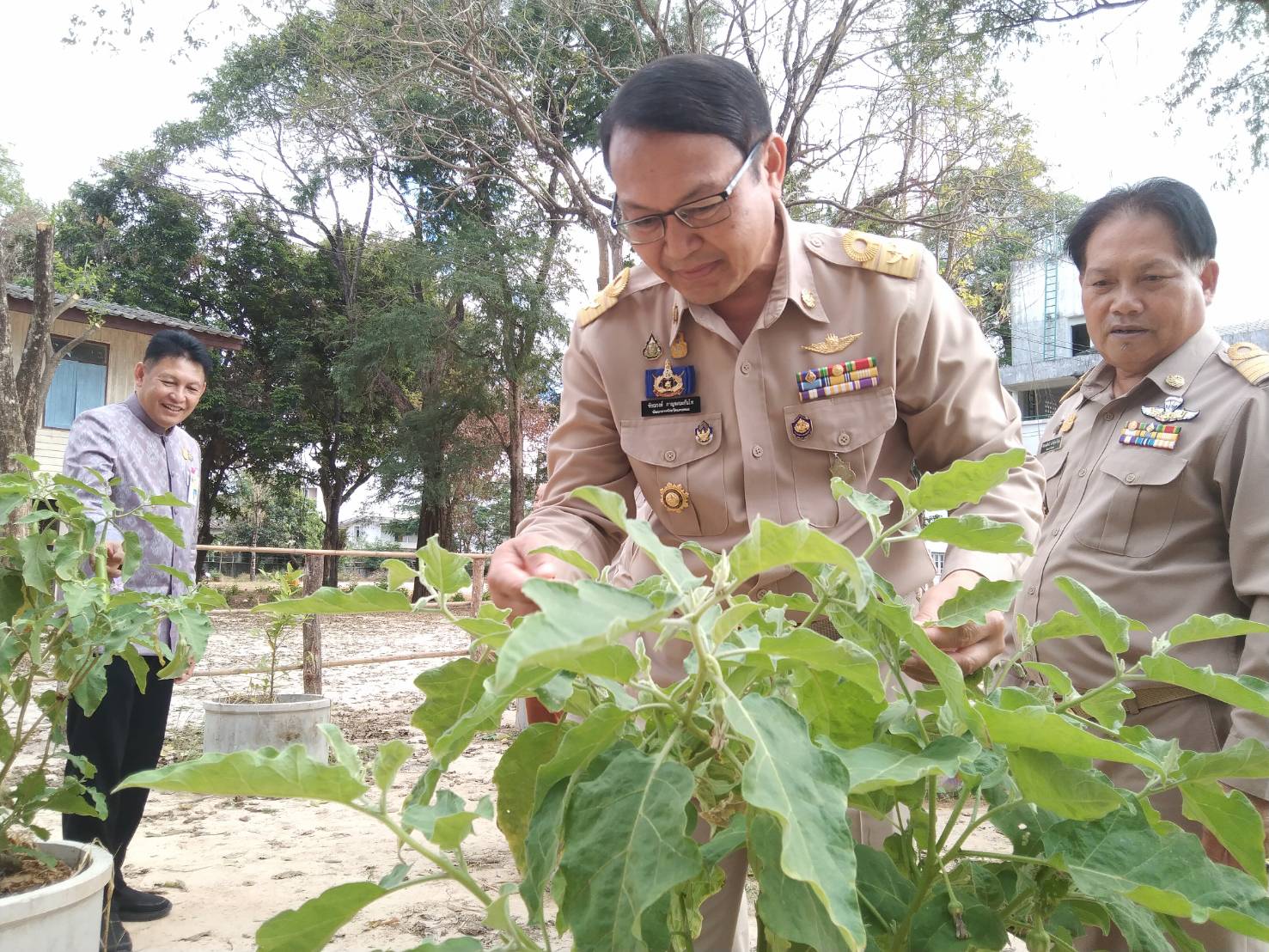 ผู้ตรวจราชการกรมฯ   เขตที่11  ลงพื้นที่เยี่ยมชมผลสำเร็จการสร้างความมั่นคงทางอาหาร