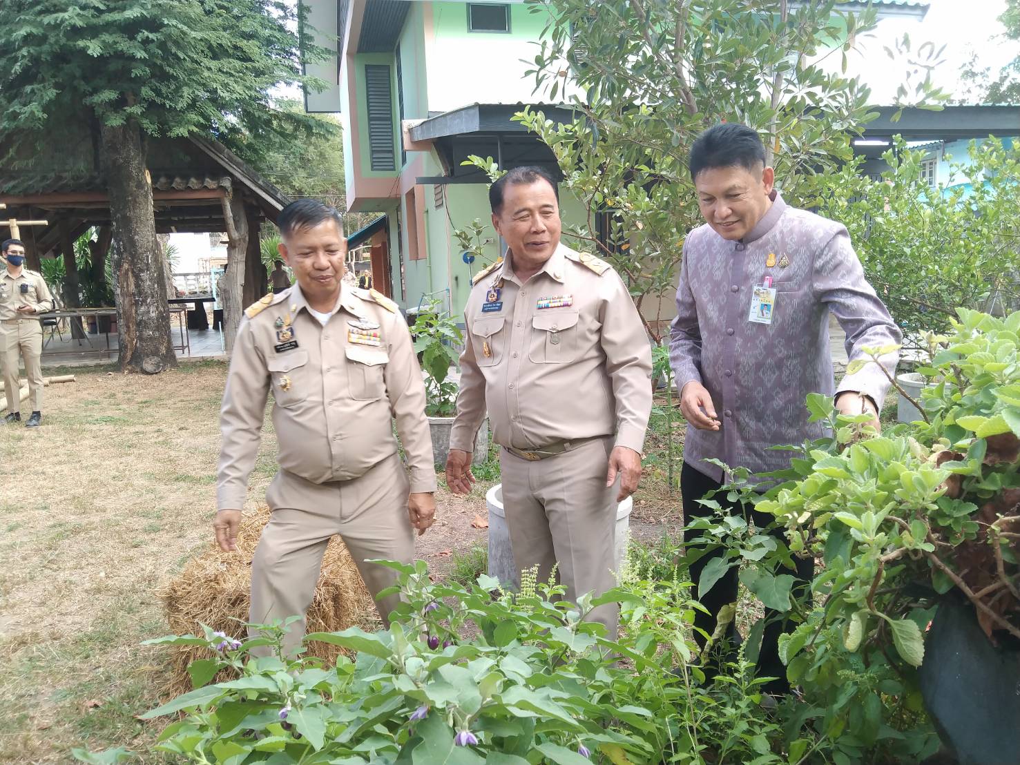 ผู้ตรวจราชการกรมฯ   เขตที่11  ลงพื้นที่เยี่ยมชมผลสำเร็จการสร้างความมั่นคงทางอาหาร