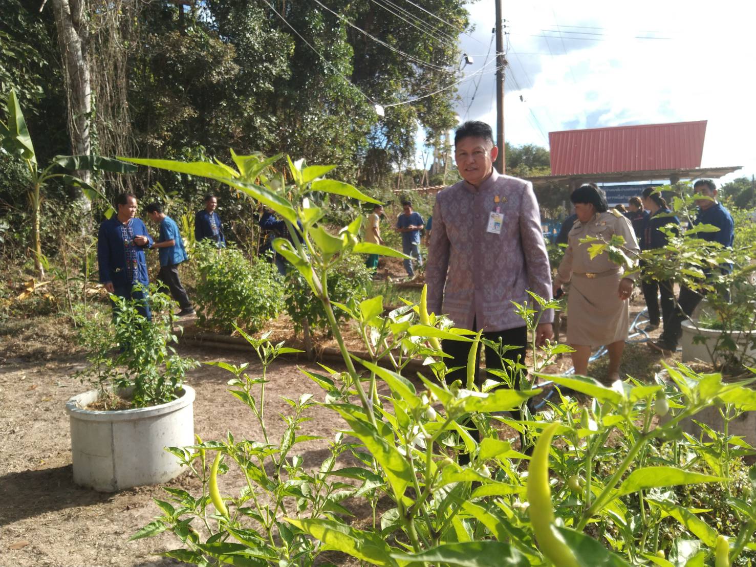 ผู้ตรวจราชการกรมฯ   เขตที่11  ลงพื้นที่เยี่ยมชมผลสำเร็จการสร้างความมั่นคงทางอาหาร