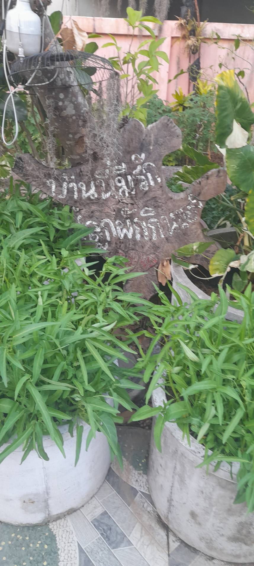รองผู้ว่าฯ นครพนม ลงพื้นที่ตรวจติดตามดำเนินโครงการบ้านนี้มีรักปลูกผักกินเอง ตามแนวพระราชดำริ สมเด็จพระกนิษฐาธิราชเจ้า กรมสมเด็จพระเทพรัตนราชสุดา สยามบรมราชกุมารี “ผู้นำต้องทำก่อน”