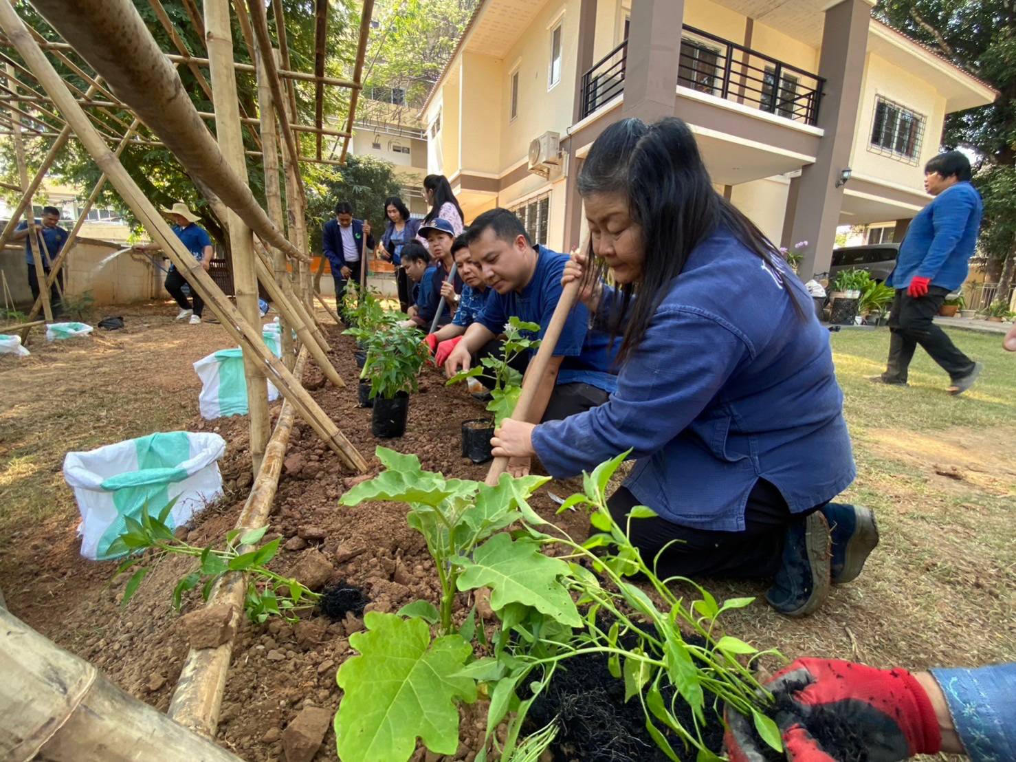 รองผู้ว่าฯ นครพนม “ผู้นำต้องทำก่อน” นำทีมจัดกิจกรรมปลูกผักเพื่อสร้างความมั่นคงทางอาหาร ส่งเสริมการพึ่งพาตนเอง สร้างสุขภาพที่ดี ด้วยพืชผักสวนครัว ตามพระราชดำริกรมสมเด็จพระเทพรัตนราชสุดาฯ สยามบรมราชกุมารี