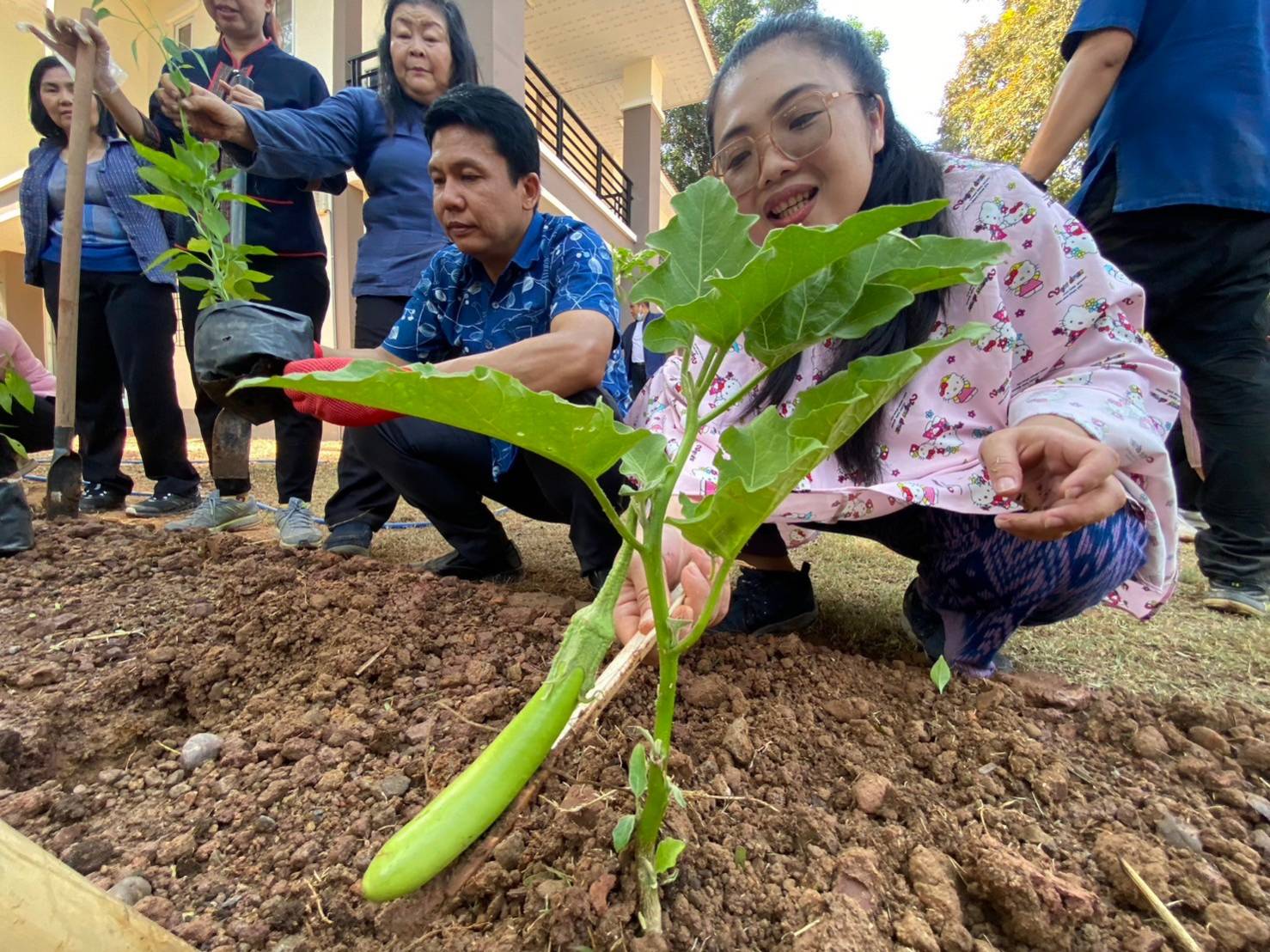 รองผู้ว่าฯ นครพนม “ผู้นำต้องทำก่อน” นำทีมจัดกิจกรรมปลูกผักเพื่อสร้างความมั่นคงทางอาหาร ส่งเสริมการพึ่งพาตนเอง สร้างสุขภาพที่ดี ด้วยพืชผักสวนครัว ตามพระราชดำริกรมสมเด็จพระเทพรัตนราชสุดาฯ สยามบรมราชกุมารี