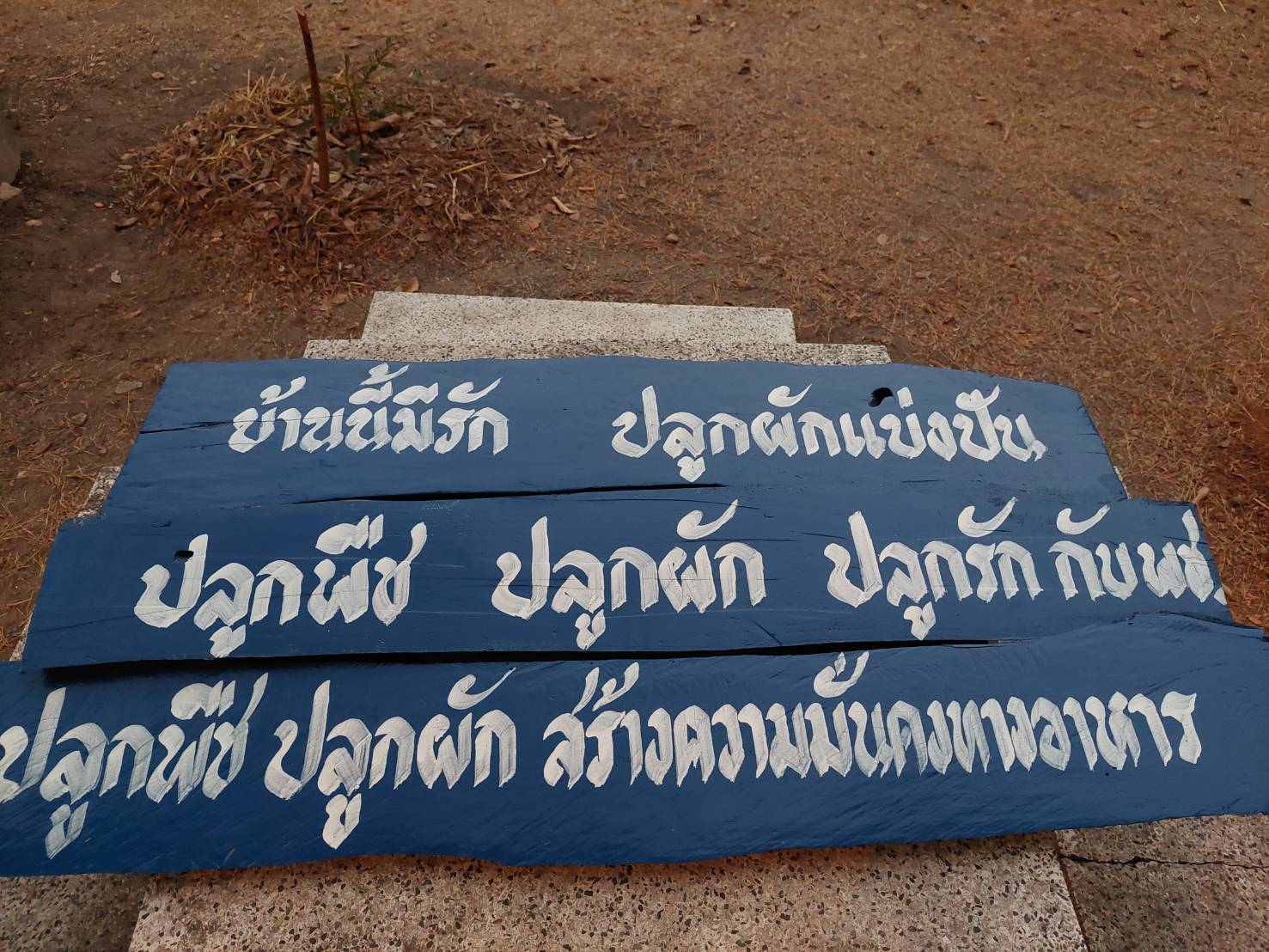 พช. นครพนม   ปฏิบัติการตามแนวพระราชดำริฯ “ปลูกพืช ปลูกผัก ปลูกรัก กับพช.” สร้างความมั่นคงทางอาหาร ลดรายจ่าย อาหารปลอดภัย ผู้นำต้องทำก่อน