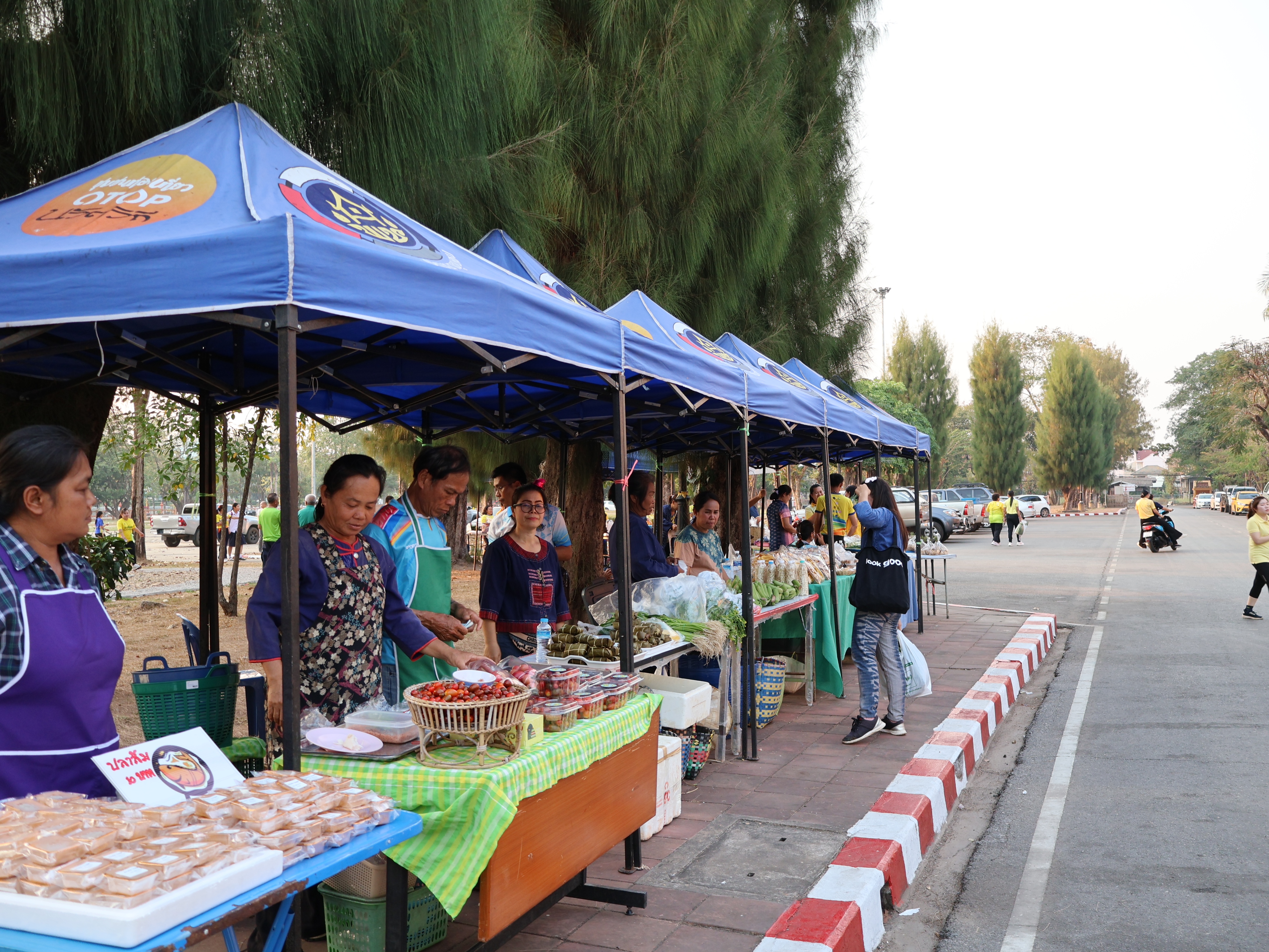 นครพนม   จัดแสดงและจำหน่ายผลผลิต โคก หนอง นา “ตลาดนัดโคก หนอง นา และอาหารปลอดภัย” สู่ความยั่งยืน