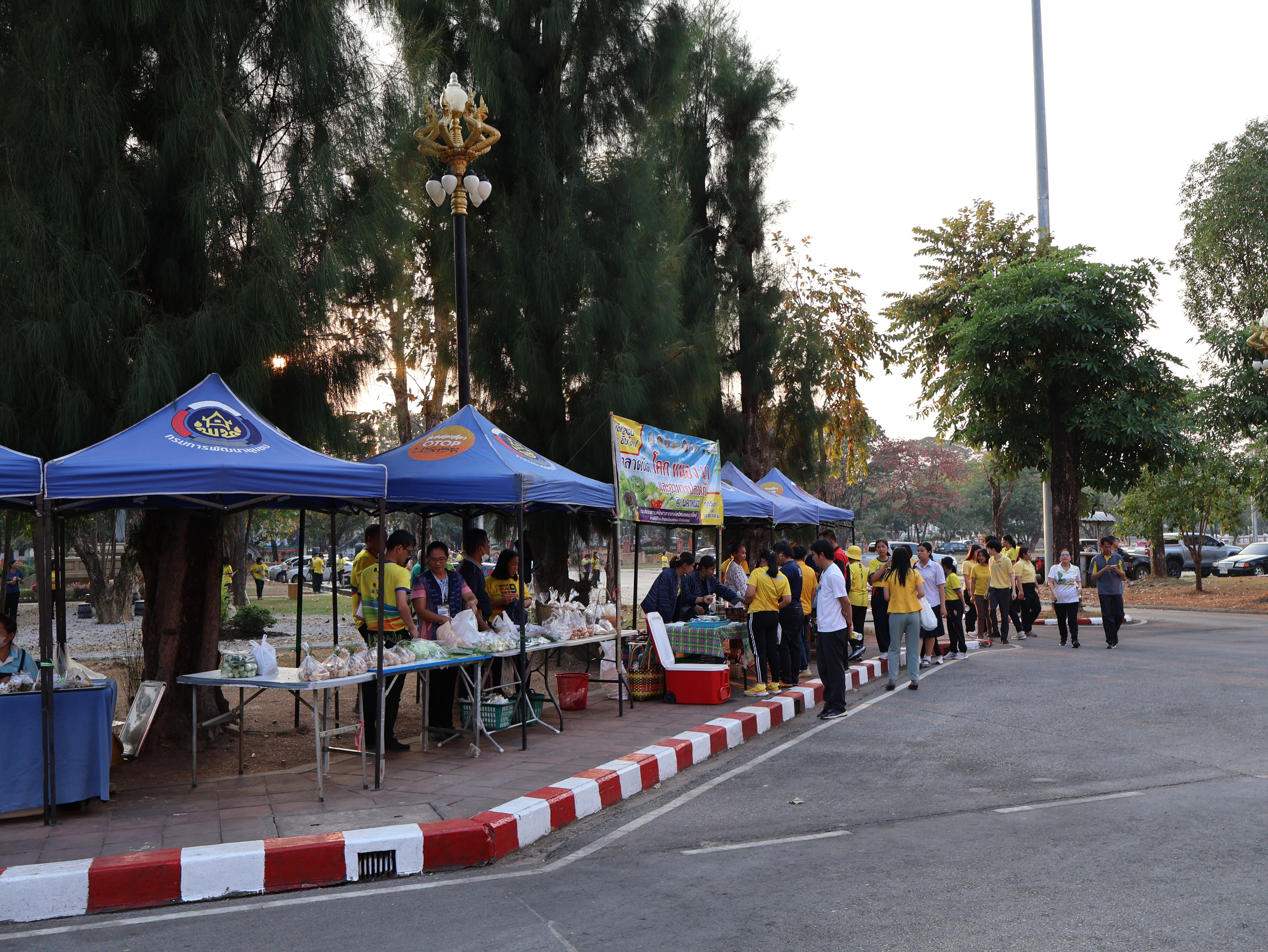 นครพนม   จัดแสดงและจำหน่ายผลผลิต โคก หนอง นา “ตลาดนัดโคก หนอง นา และอาหารปลอดภัย” สู่ความยั่งยืน