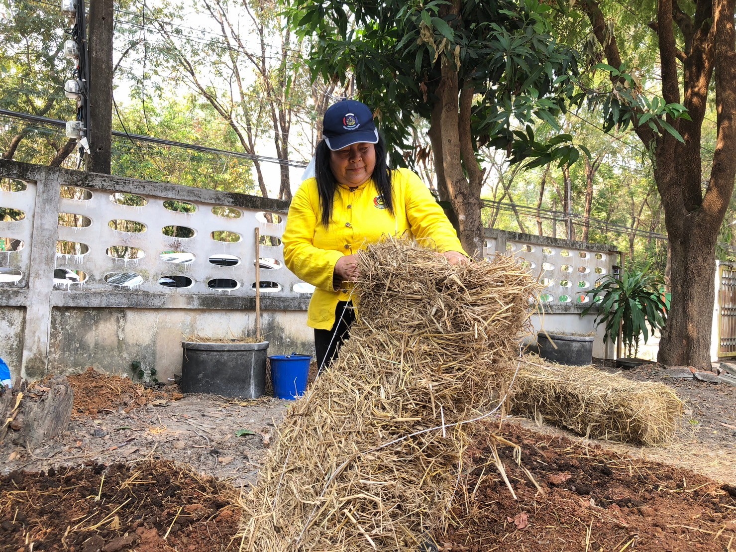 พช. นครพนม สานพลังความต่อเนื่องปฏิบัติการตามแนวพระราชดำริฯ ปลูกผักสวนครัวเพื่อสร้างความมั่นคงทางอาหาร สู่ชุมชนเข้มแข็ง  ส่งเสริมการพึ่งพาตนเอง ลดรายจ่ายภายในครัวเรือน