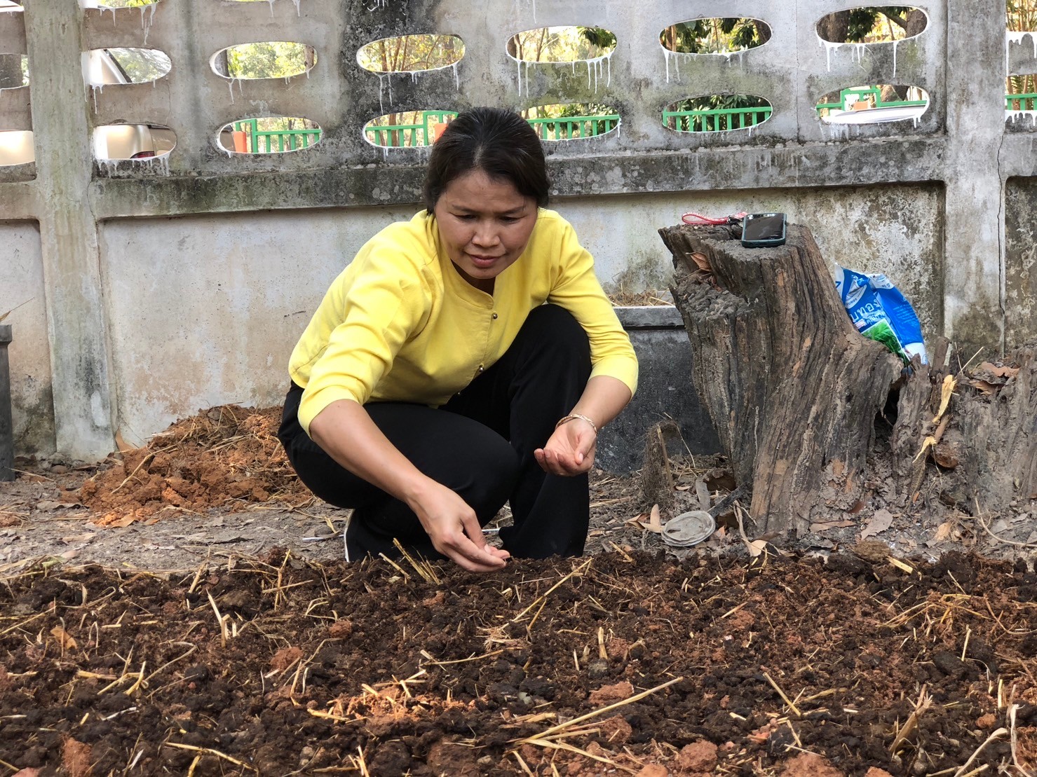 พช. นครพนม สานพลังความต่อเนื่องปฏิบัติการตามแนวพระราชดำริฯ ปลูกผักสวนครัวเพื่อสร้างความมั่นคงทางอาหาร สู่ชุมชนเข้มแข็ง  ส่งเสริมการพึ่งพาตนเอง ลดรายจ่ายภายในครัวเรือน