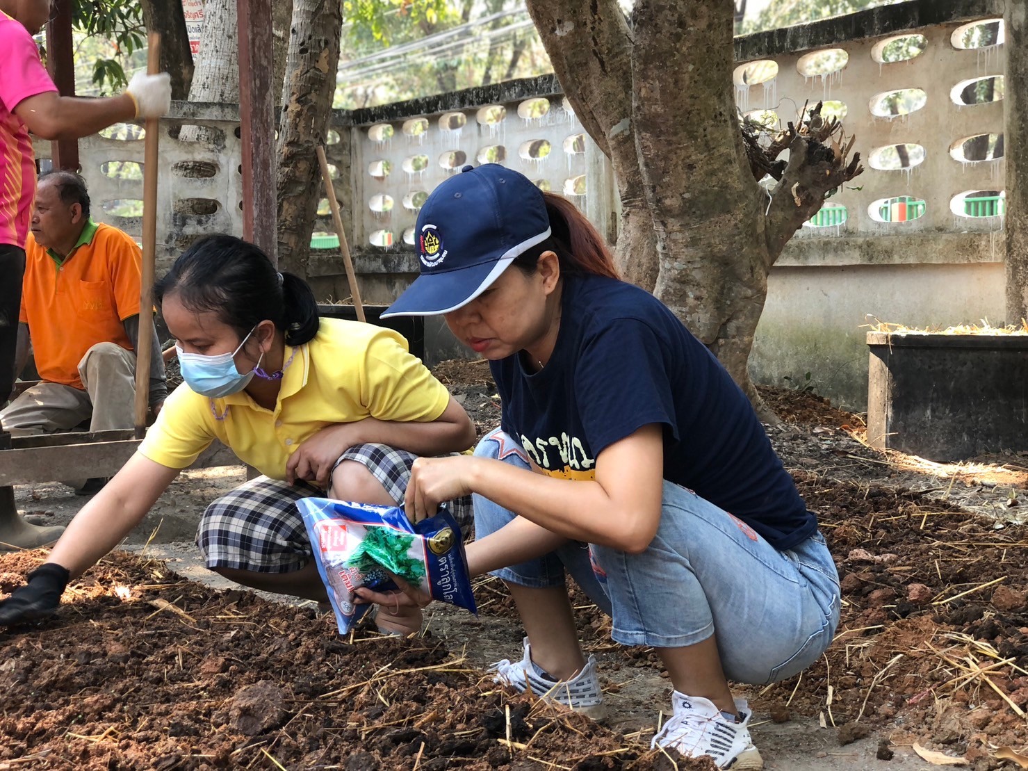 พช. นครพนม สานพลังความต่อเนื่องปฏิบัติการตามแนวพระราชดำริฯ ปลูกผักสวนครัวเพื่อสร้างความมั่นคงทางอาหาร สู่ชุมชนเข้มแข็ง  ส่งเสริมการพึ่งพาตนเอง ลดรายจ่ายภายในครัวเรือน