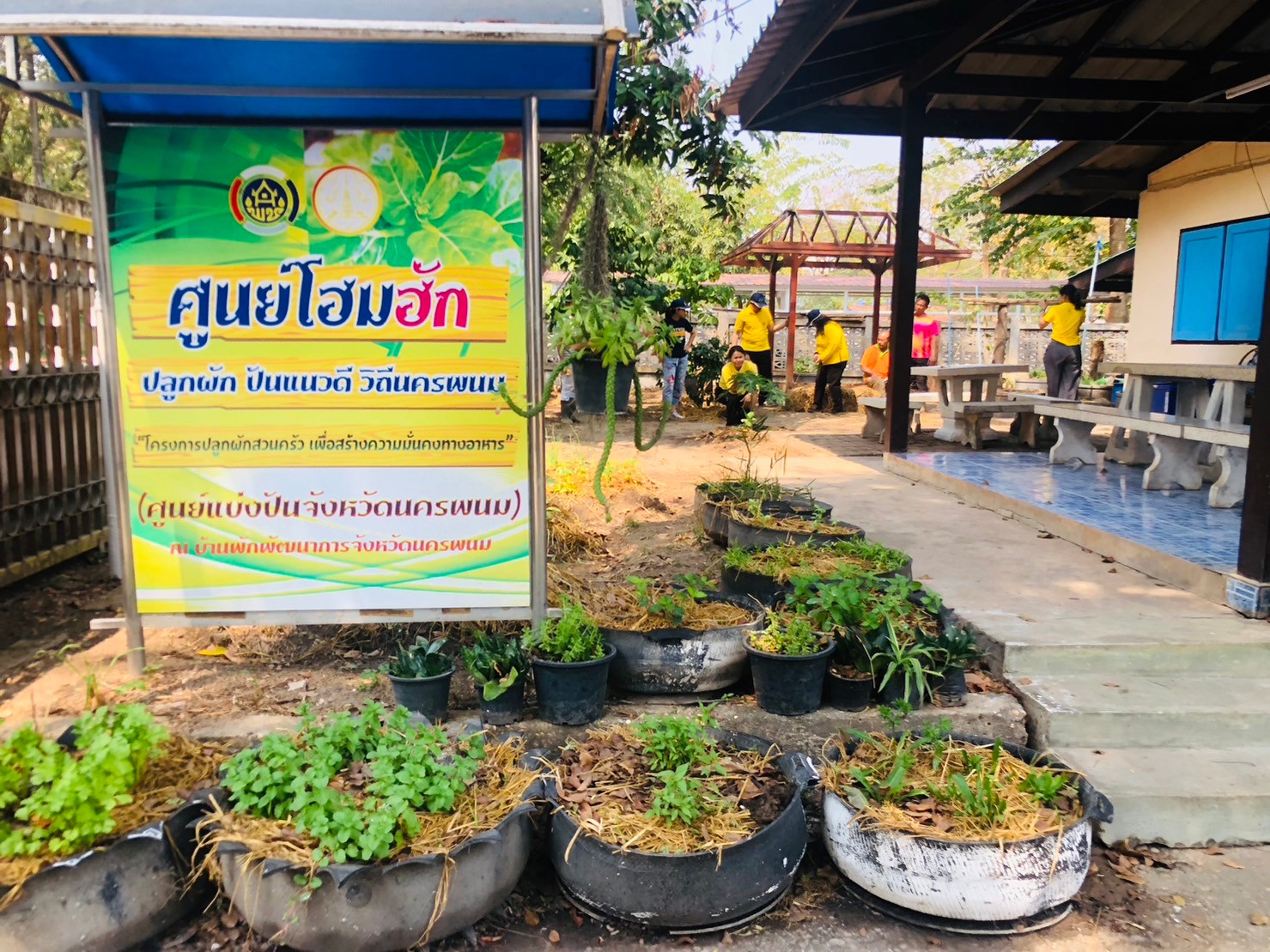 พช. นครพนม สานพลังความต่อเนื่องปฏิบัติการตามแนวพระราชดำริฯ ปลูกผักสวนครัวเพื่อสร้างความมั่นคงทางอาหาร สู่ชุมชนเข้มแข็ง  ส่งเสริมการพึ่งพาตนเอง ลดรายจ่ายภายในครัวเรือน