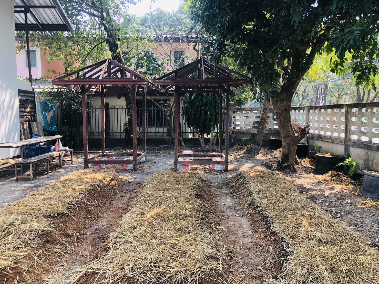 พช. นครพนม สานพลังความต่อเนื่องปฏิบัติการตามแนวพระราชดำริฯ ปลูกผักสวนครัวเพื่อสร้างความมั่นคงทางอาหาร สู่ชุมชนเข้มแข็ง  ส่งเสริมการพึ่งพาตนเอง ลดรายจ่ายภายในครัวเรือน