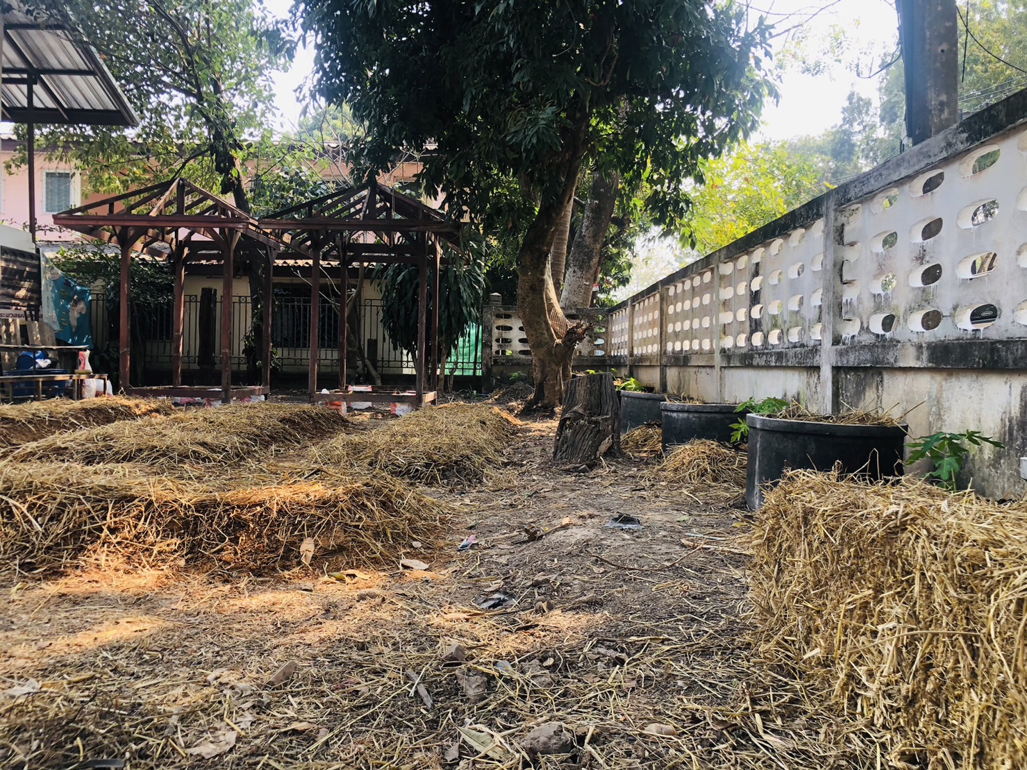 พช. นครพนม สานพลังความต่อเนื่องปฏิบัติการตามแนวพระราชดำริฯ ปลูกผักสวนครัวเพื่อสร้างความมั่นคงทางอาหาร สู่ชุมชนเข้มแข็ง  ส่งเสริมการพึ่งพาตนเอง ลดรายจ่ายภายในครัวเรือน