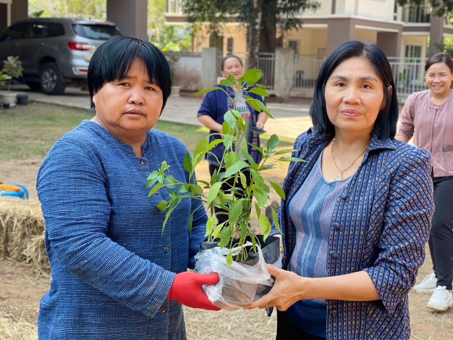 รองผู้ว่าฯ นครพนม “ผู้นำต้องทำก่อน” นำทีมจัดกิจกรรมปลูกผักเพื่อสร้างความมั่นคงทางอาหาร ส่งเสริมการพึ่งพาตนเอง สร้างสุขภาพที่ดี ด้วยพืชผักสวนครัว ตามพระราชดำริกรมสมเด็จพระเทพรัตนราชสุดาฯ สยามบรมราชกุมารี