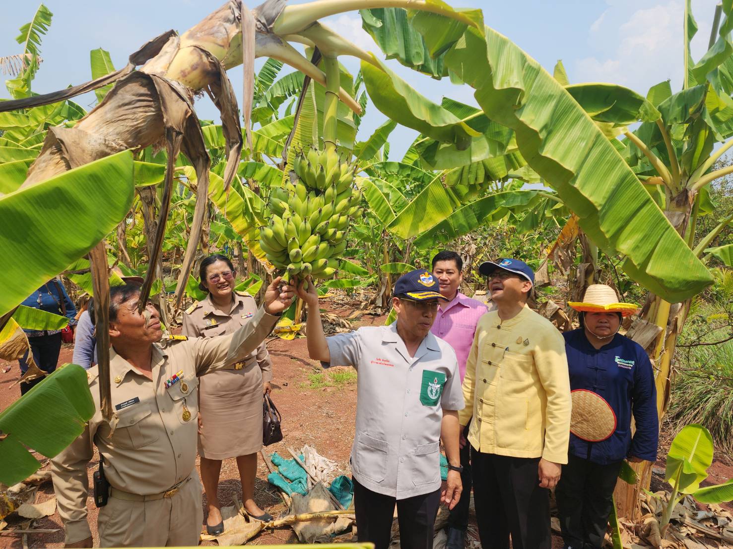พ่อเมืองนครพนม   ติดตามผลสำเร็จ “โครงการพัฒนาศูนย์เรียนรู้ ทฤษฎีใหม่รูปแบบ โคก หนอง นา” พื้นที่อำเภอบ้านแพง