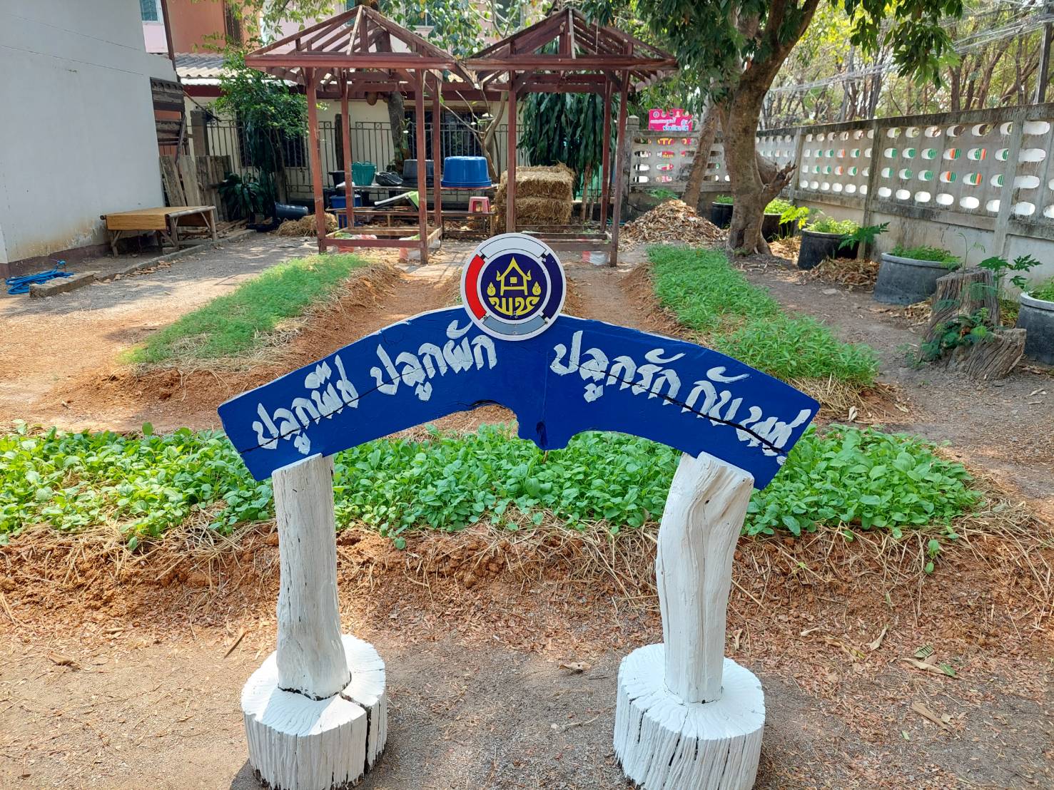 พช. นครพนม   ปฏิบัติการตามแนวพระราชดำริฯ “ปลูกพืช ปลูกผัก ปลูกรัก กับพช.” สร้างความมั่นคงทางอาหาร ลดรายจ่ายในครอบครัว ปลูกพืชปลูกผักสร้างอาหารปลอดภัย ผู้นำต้องทำก่อน