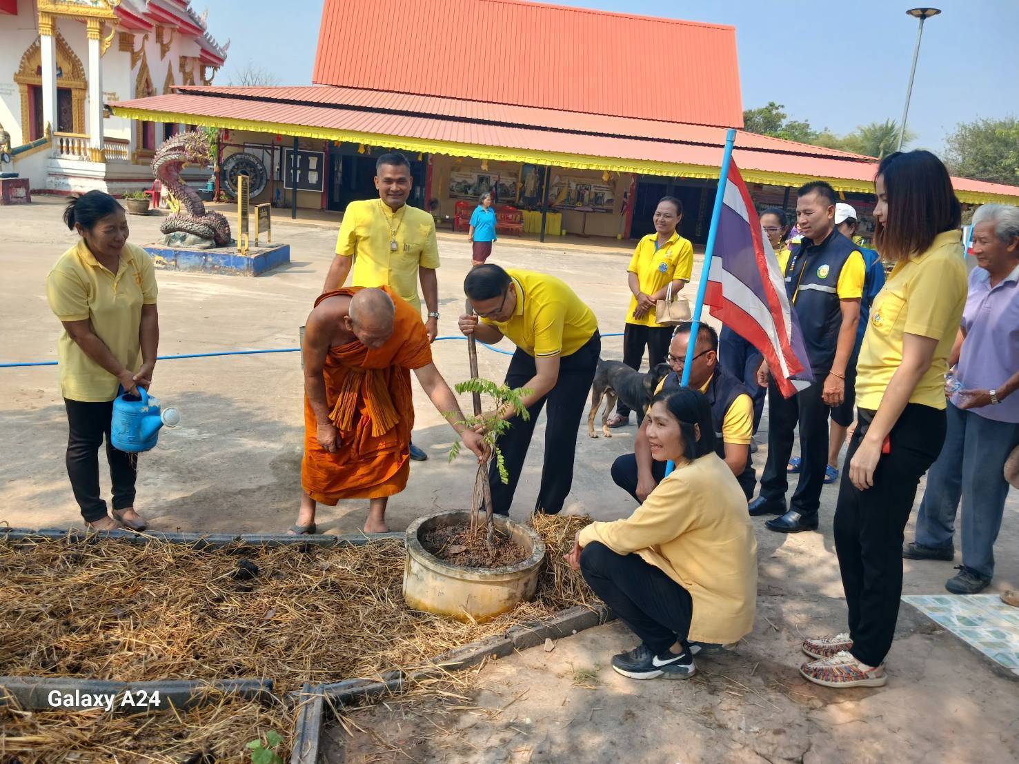 พช.นครพนม   ติดตามการดำเนินการตามแนวทางการน้อมนำแนวพระราชดำริของสมเด็จพระกนิษฐาธิราชเจ้า กรมสมเด็จพระเทพรัตนราชสุดา ฯ สยามบรมราชกุมารี สู่ปฏิบัติการปลูกผักสวนครัว เพื่อสร้างความมั่นคงทางอาหาร ประจำปีงบประมาณ พ.ศ. 2567