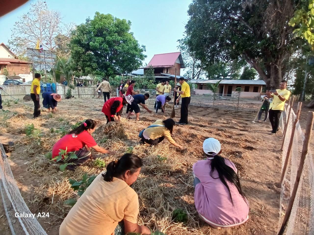 พช.นครพนม   ติดตามการดำเนินงานตามแนวทางการน้อมนำแนวพระราชดำริของสมเด็จพระกนิษฐาธิราชเจ้า กรมสมเด็จพระเทพรัตนราชสุดา ฯ สยามบรมราชกุมารี สู่ปฏิบัติการปลูกผักสวนครัว เพื่อสร้างความมั่นคงทางอาหาร ประจำปีงบประมาณ พ.ศ. 2567