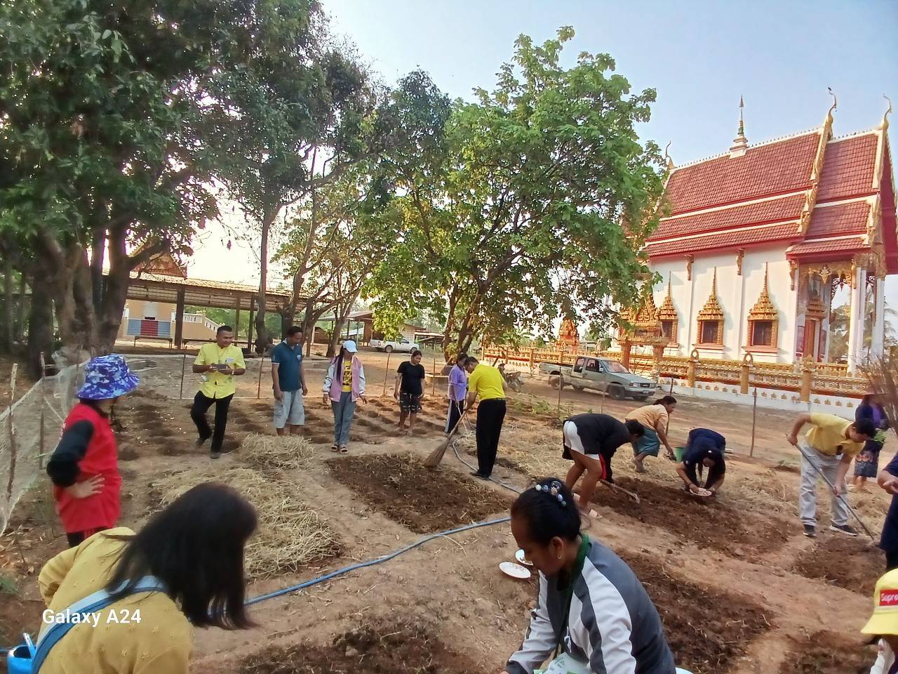 พช.นครพนม   ติดตามการดำเนินงานตามแนวทางการน้อมนำแนวพระราชดำริของสมเด็จพระกนิษฐาธิราชเจ้า กรมสมเด็จพระเทพรัตนราชสุดา ฯ สยามบรมราชกุมารี สู่ปฏิบัติการปลูกผักสวนครัว เพื่อสร้างความมั่นคงทางอาหาร ประจำปีงบประมาณ พ.ศ. 2567