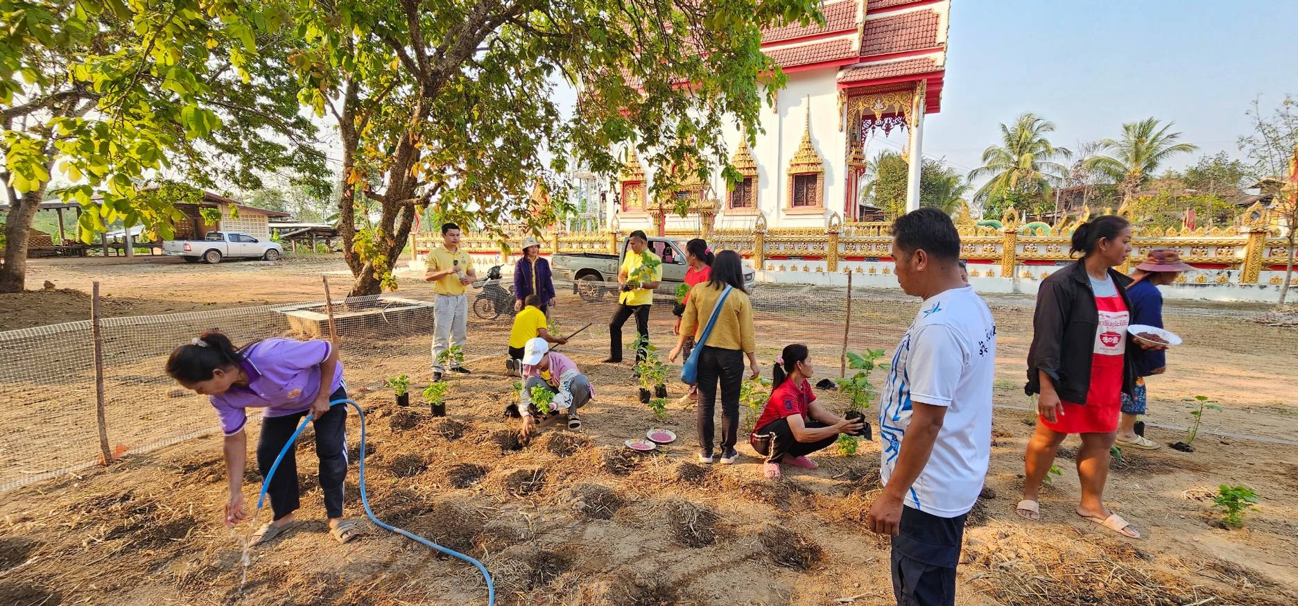 พช.นครพนม   ติดตามการดำเนินงานตามแนวทางการน้อมนำแนวพระราชดำริของสมเด็จพระกนิษฐาธิราชเจ้า กรมสมเด็จพระเทพรัตนราชสุดา ฯ สยามบรมราชกุมารี สู่ปฏิบัติการปลูกผักสวนครัว เพื่อสร้างความมั่นคงทางอาหาร ประจำปีงบประมาณ พ.ศ. 2567