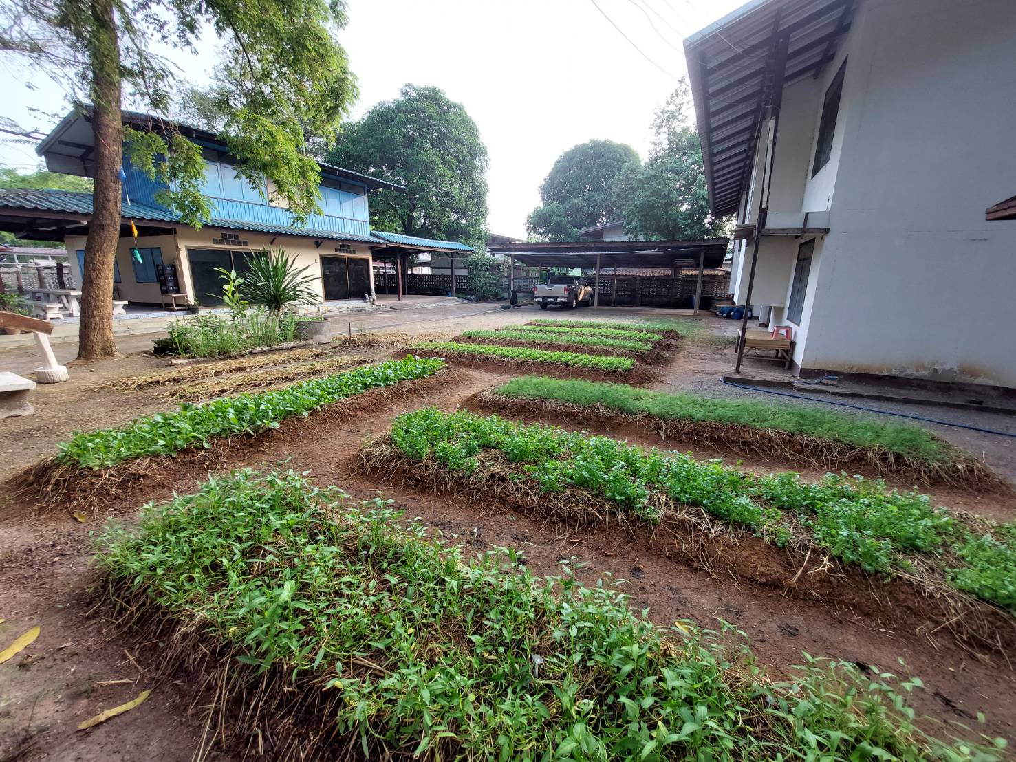 พช. นครพนม   ปรับปรุงสถานที่บ้านพักพัฒนาการจังหวัดเป็นศูนย์ประสานงานเครือข่ายโคก หนอง นา และขับเคลื่อนการดำเนินงาน “ศูนย์โฮมฮัก ปลูกผักปันแนวดี วิถีนครพนม ณ บ้านพักพัฒนาการจังหวัดนครพนม” ปฏิบัติการ “ปลูกพืช ปลูกผัก ปลูกรัก กับพช.” สร้างความมั่นคงทางด้านอาหาร เพื่อลดรายจ่ายในครัวเรือน สร้างอาหารปลอดภัย โดยยึดหลักผู้นำต้องทำก่อน