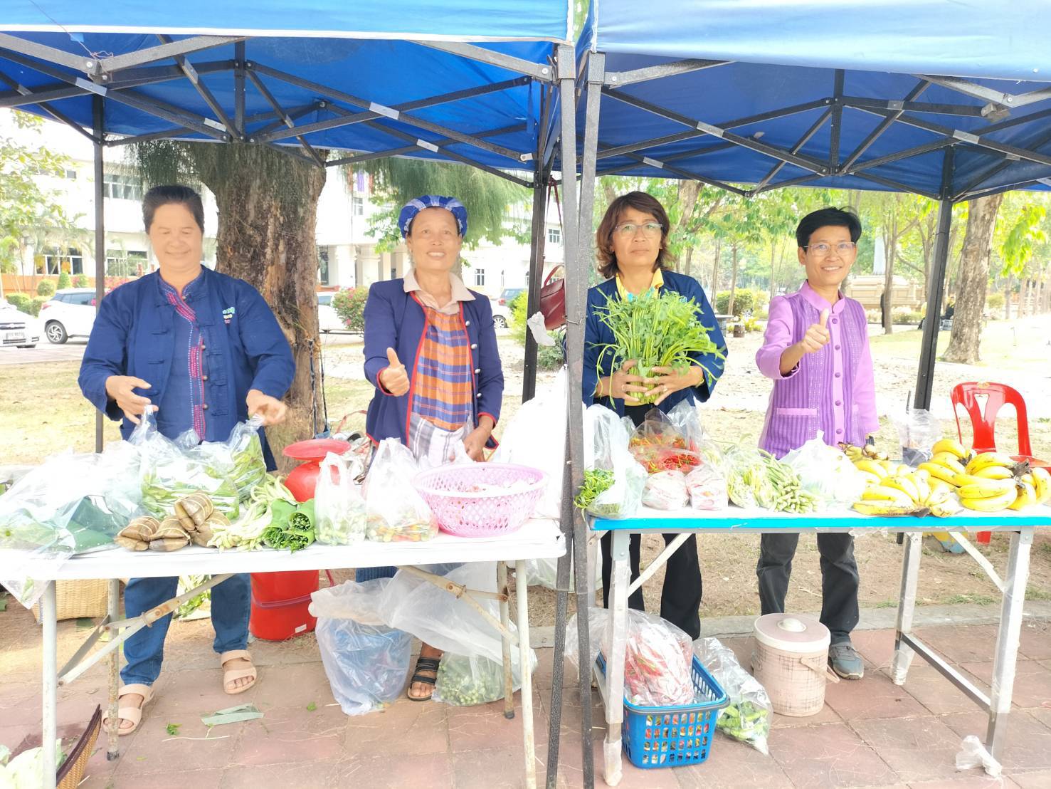 นครพนม   จัดแสดงและจำหน่ายผลผลิต โคก หนอง นา “ตลาดนัดโคก หนอง นา และอาหารปลอดภัย” สู่ความยั่งยืน