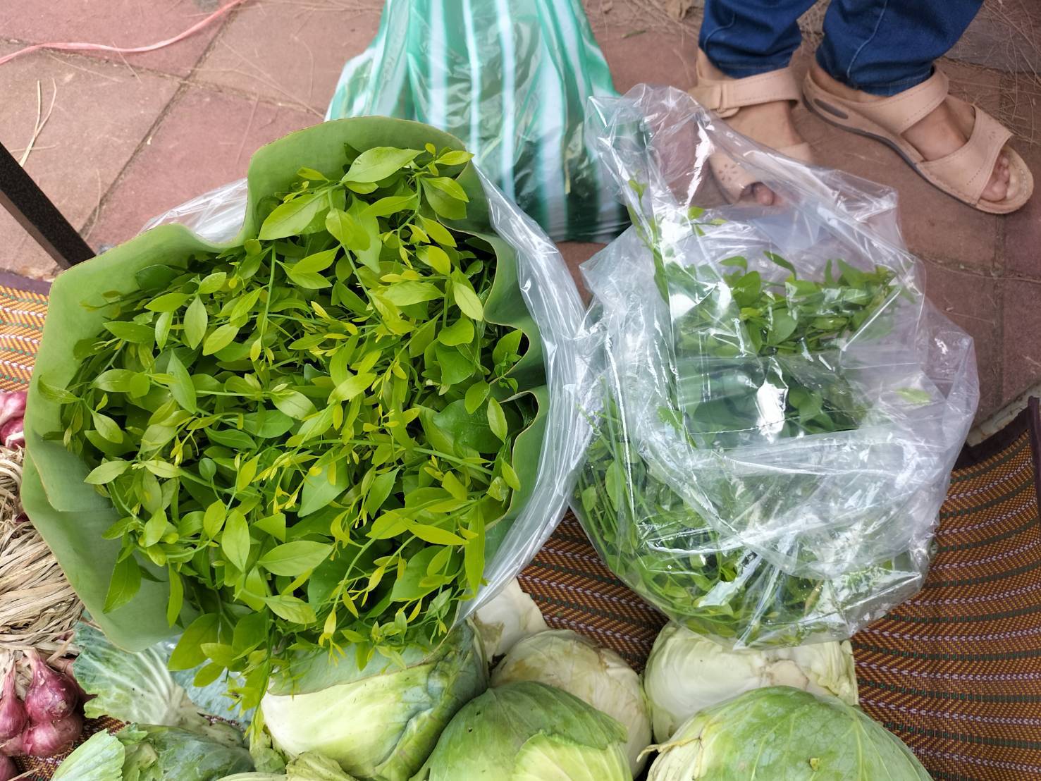 นครพนม   จัดแสดงและจำหน่ายผลผลิต โคก หนอง นา “ตลาดนัดโคก หนอง นา และอาหารปลอดภัย” สู่ความยั่งยืน